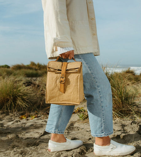 Paper Bag Lunch Cooler